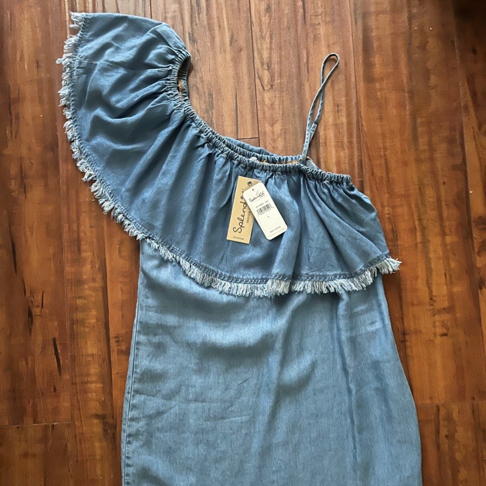Splendid Denim Dress